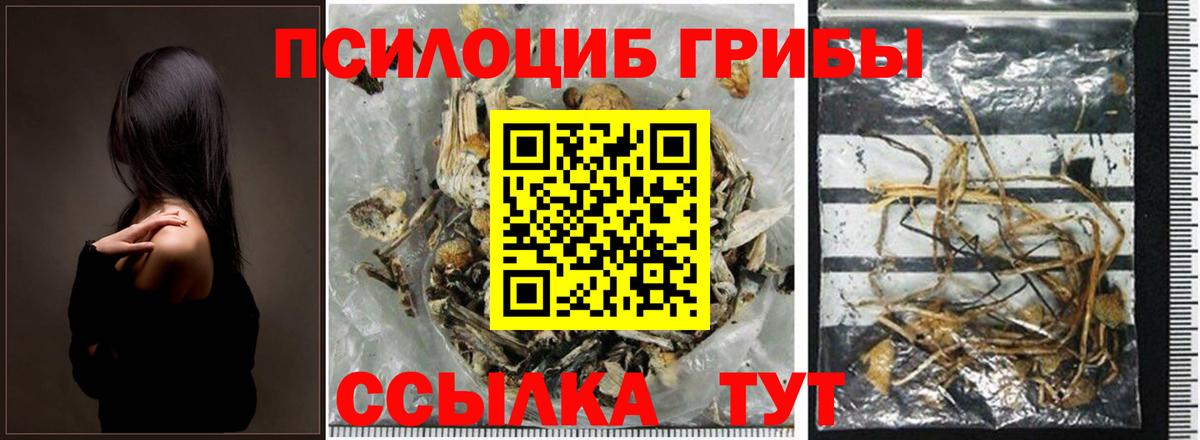Псилоцибиновые грибы MAGIC MUSHROOMS  Галлюциногенные грибы прущие грибы  Ковров  Вход с VPN 